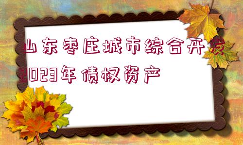 山東棗莊城市綜合開發(fā)2023年債權資產