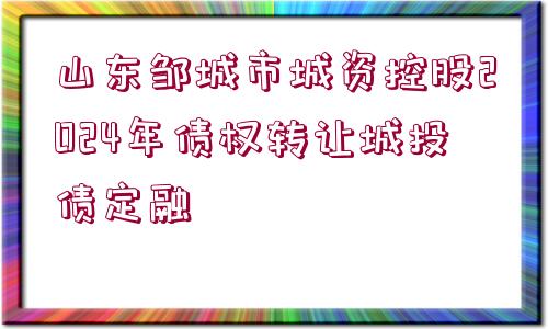 山東鄒城市城資控股2024年債權(quán)轉(zhuǎn)讓城投債定融