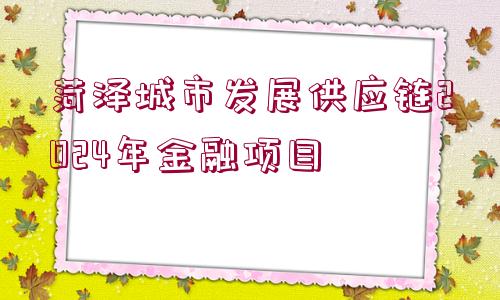 菏澤城市發(fā)展供應(yīng)鏈2024年金融項目