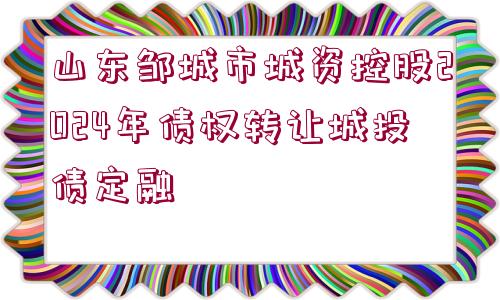 山東鄒城市城資控股2024年債權轉(zhuǎn)讓城投債定融