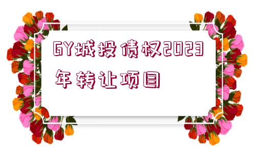 GY城投債權2023年轉讓項目