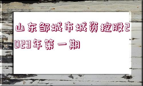 山東鄒城市城資控股2023年第一期