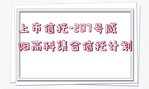 上市信托-207號咸陽高科集合信托計劃