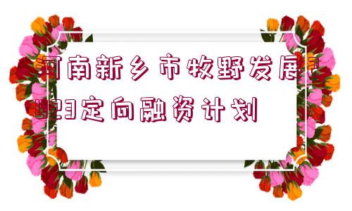 河南新鄉(xiāng)市牧野發(fā)展2023定向融資計(jì)劃