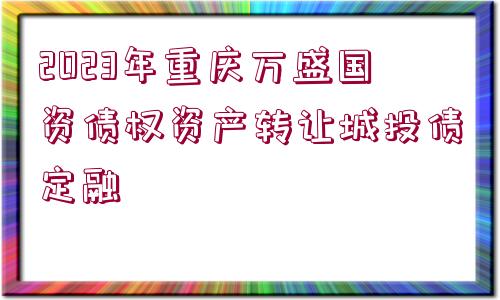 2023年重慶萬盛國資債權(quán)資產(chǎn)轉(zhuǎn)讓城投債定融