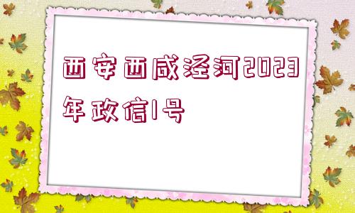 西安西咸涇河2023年政信1號