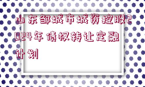 山東鄒城市城資控股2024年債權(quán)轉(zhuǎn)讓定融計劃