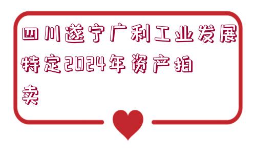 四川遂寧廣利工業(yè)發(fā)展特定2024年資產(chǎn)拍賣