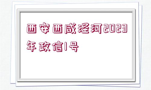 西安西咸涇河2023年政信1號(hào)