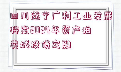 四川遂寧廣利工業(yè)發(fā)展特定2024年資產(chǎn)拍賣城投債定融