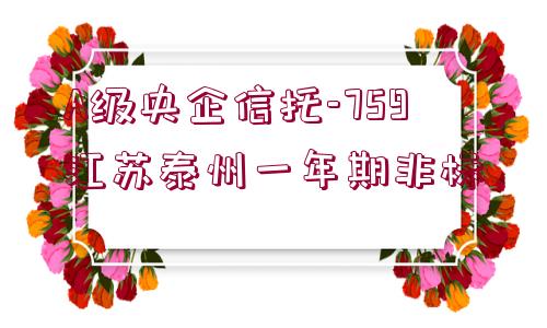 A級央企信托-759江蘇泰州一年期非標