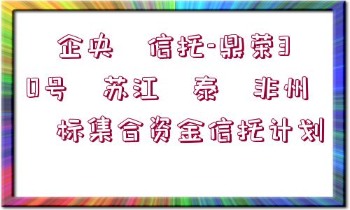 ?企央?信托-鼎榮30號?蘇江?泰?非州?標集合資金信托計劃