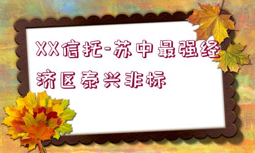 XX信托-蘇中最強經(jīng)濟區(qū)泰興非標(biāo)