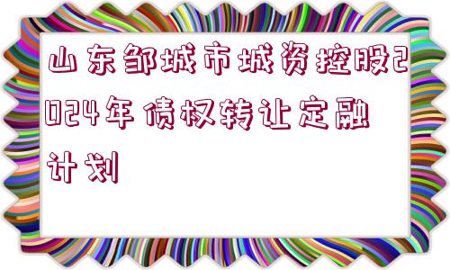 山東鄒城市城資控股2024年債權(quán)轉(zhuǎn)讓定融計劃