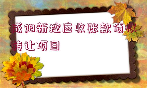 咸陽新控應(yīng)收賬款債權(quán)轉(zhuǎn)讓項(xiàng)目