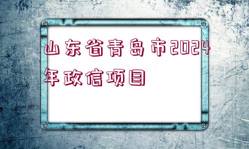 山東省青島市2024年政信項目