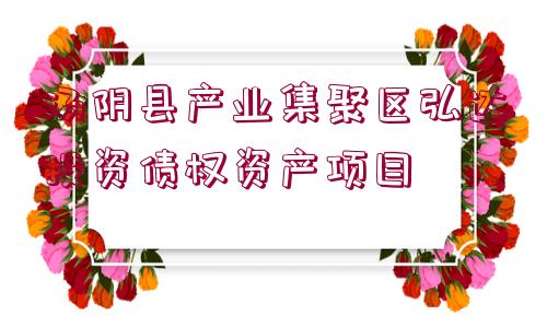 湯陰縣產(chǎn)業(yè)集聚區(qū)弘達投資債權(quán)資產(chǎn)項目