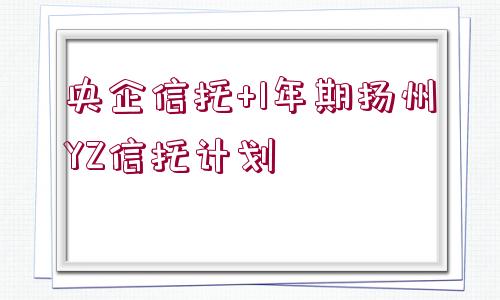 央企信托+1年期揚(yáng)州YZ信托計(jì)劃