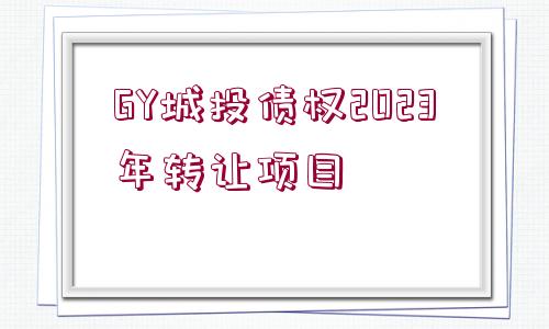 GY城投債權2023年轉(zhuǎn)讓項目