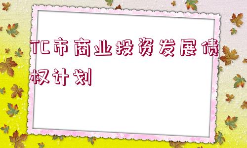 TC市商業(yè)投資發(fā)展債權(quán)計劃