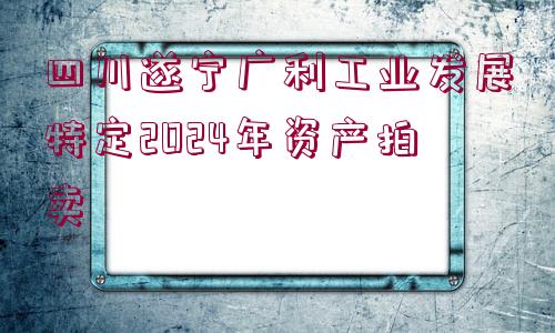 四川遂寧廣利工業(yè)發(fā)展特定2024年資產(chǎn)拍賣