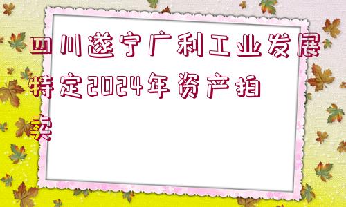 四川遂寧廣利工業(yè)發(fā)展特定2024年資產(chǎn)拍賣