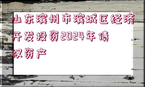 山東濱州市濱城區(qū)經(jīng)濟(jì)開(kāi)發(fā)投資2024年債權(quán)資產(chǎn)