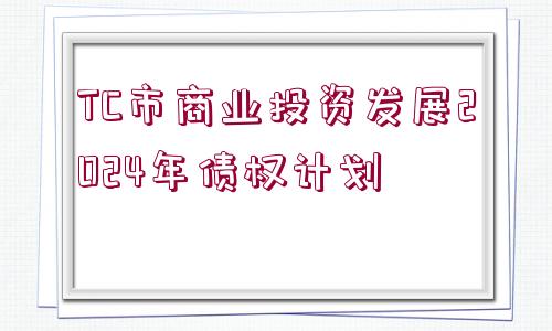 TC市商業(yè)投資發(fā)展2024年債權(quán)計劃