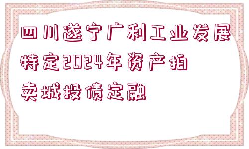 四川遂寧廣利工業(yè)發(fā)展特定2024年資產(chǎn)拍賣城投債定融