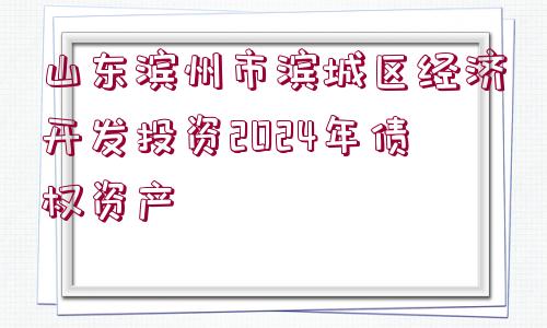 山東濱州市濱城區(qū)經(jīng)濟(jì)開發(fā)投資2024年債權(quán)資產(chǎn)