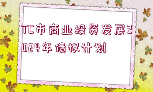 TC市商業(yè)投資發(fā)展2024年債權計劃