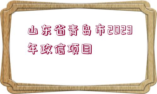 山東省青島市2023年政信項(xiàng)目