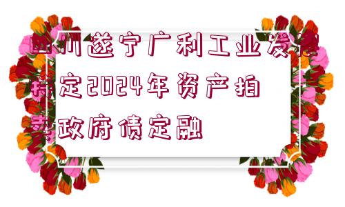 四川遂寧廣利工業(yè)發(fā)展特定2024年資產(chǎn)拍賣政府債定融