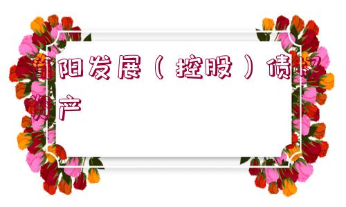 簡(jiǎn)陽(yáng)發(fā)展（控股）債權(quán)資產(chǎn)