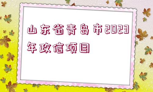 山東省青島市2023年政信項目