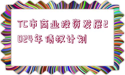 TC市商業(yè)投資發(fā)展2024年債權(quán)計劃