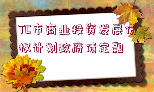 TC市商業(yè)投資發(fā)展債權(quán)計劃政府債定融