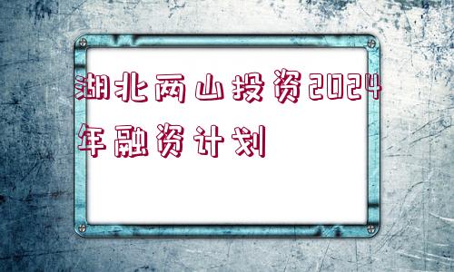 湖北兩山投資2024年融資計劃