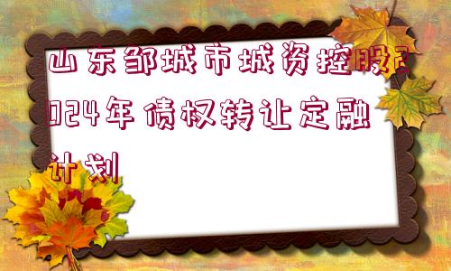 山東鄒城市城資控股2024年債權(quán)轉(zhuǎn)讓定融計(jì)劃