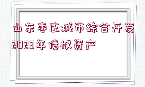 山東棗莊城市綜合開發(fā)2023年債權資產(chǎn)