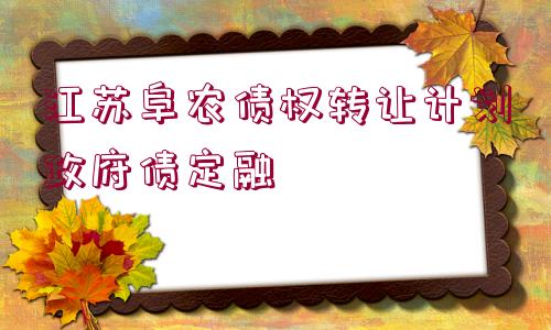 江蘇阜農(nóng)債權(quán)轉(zhuǎn)讓計劃政府債定融