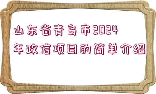 山東省青島市2024年政信項(xiàng)目的簡(jiǎn)單介紹