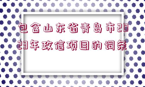 包含山東省青島市2023年政信項(xiàng)目的詞條