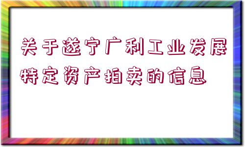 關(guān)于遂寧廣利工業(yè)發(fā)展特定資產(chǎn)拍賣的信息