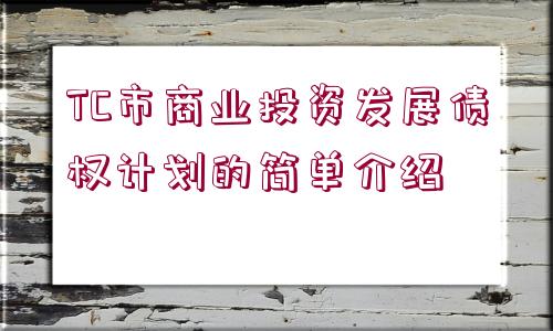 TC市商業(yè)投資發(fā)展債權(quán)計(jì)劃的簡(jiǎn)單介紹