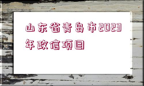 山東省青島市2023年政信項目