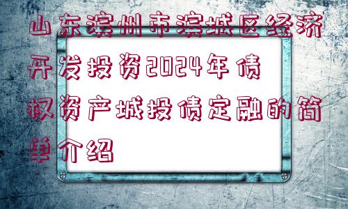 山東濱州市濱城區(qū)經(jīng)濟(jì)開發(fā)投資2024年債權(quán)資產(chǎn)城投債定融的簡單介紹