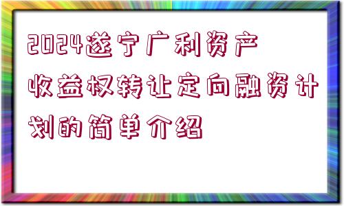 2024遂寧廣利資產(chǎn)收益權(quán)轉(zhuǎn)讓定向融資計劃的簡單介紹