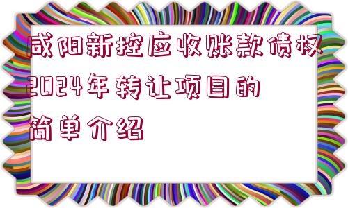 咸陽新控應(yīng)收賬款債權(quán)2024年轉(zhuǎn)讓項目的簡單介紹