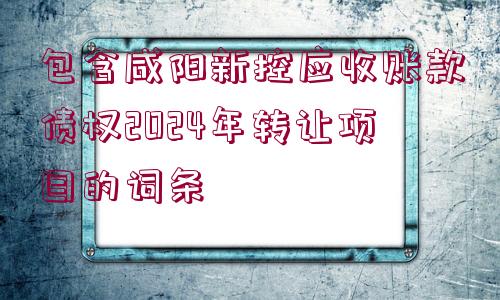 包含咸陽新控應收賬款債權2024年轉讓項目的詞條